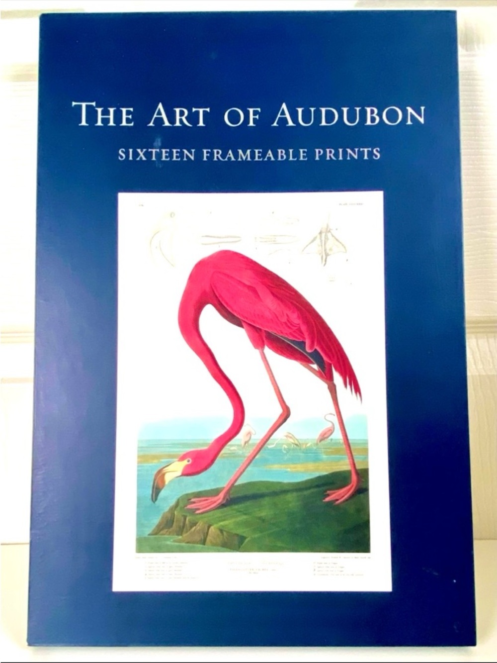 The Art of Audubon Box Set of           15” X 10” Frameable Bird Art Prints